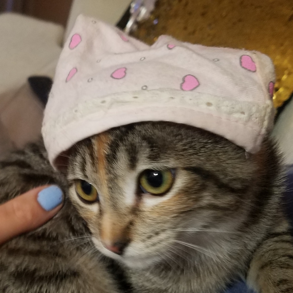 Meet your Posher, Louiza